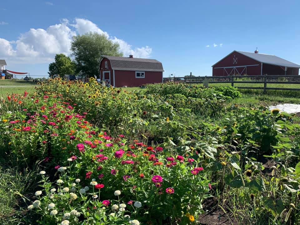 About Bramble's Edge Farm Bramble's Edge Farm