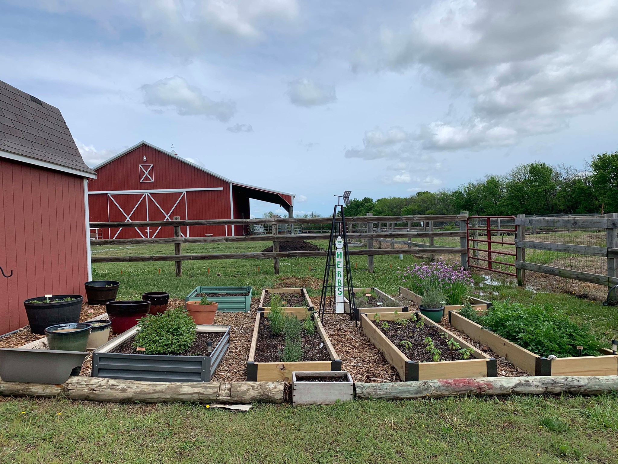 Our Produce Bramble's Edge Farm